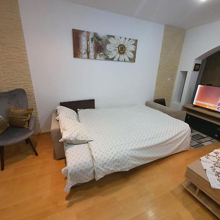 Monik Apartament Σινάια Εξωτερικό φωτογραφία