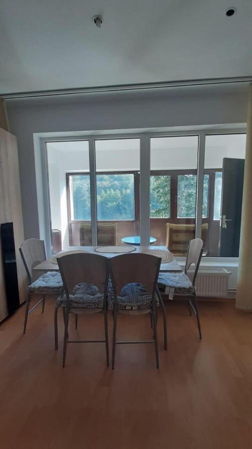 Monik Apartament Σινάια Εξωτερικό φωτογραφία
