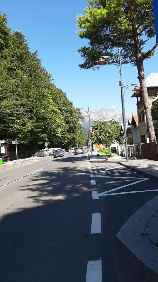 Monik Apartament Σινάια Εξωτερικό φωτογραφία