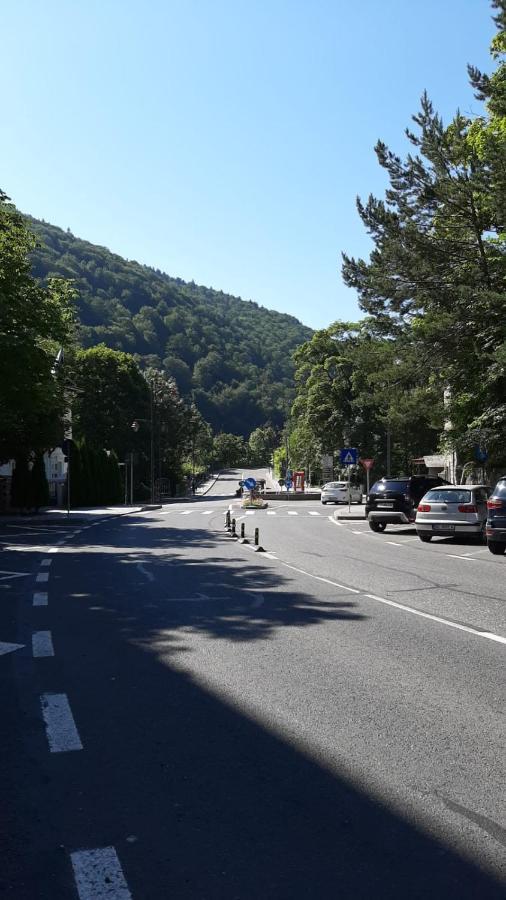 Monik Apartament Σινάια Εξωτερικό φωτογραφία