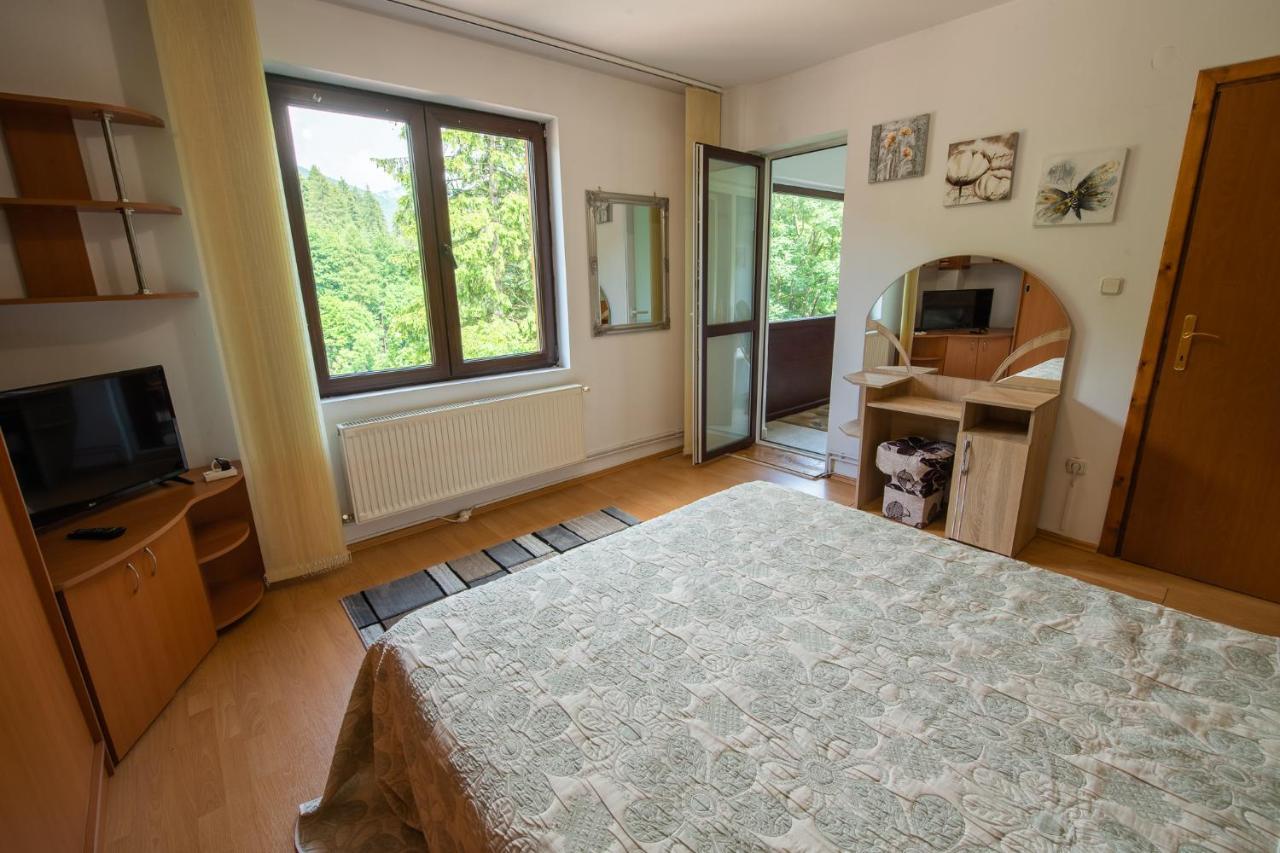 Monik Apartament Σινάια Εξωτερικό φωτογραφία