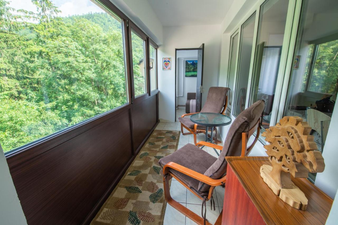 Monik Apartament Σινάια Εξωτερικό φωτογραφία