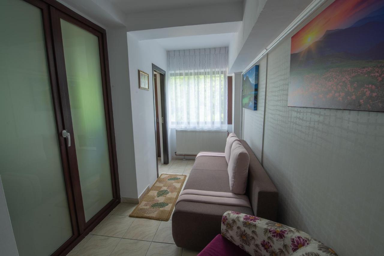 Monik Apartament Σινάια Εξωτερικό φωτογραφία