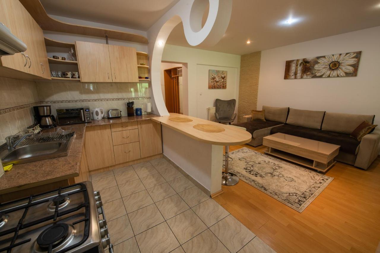 Monik Apartament Σινάια Εξωτερικό φωτογραφία