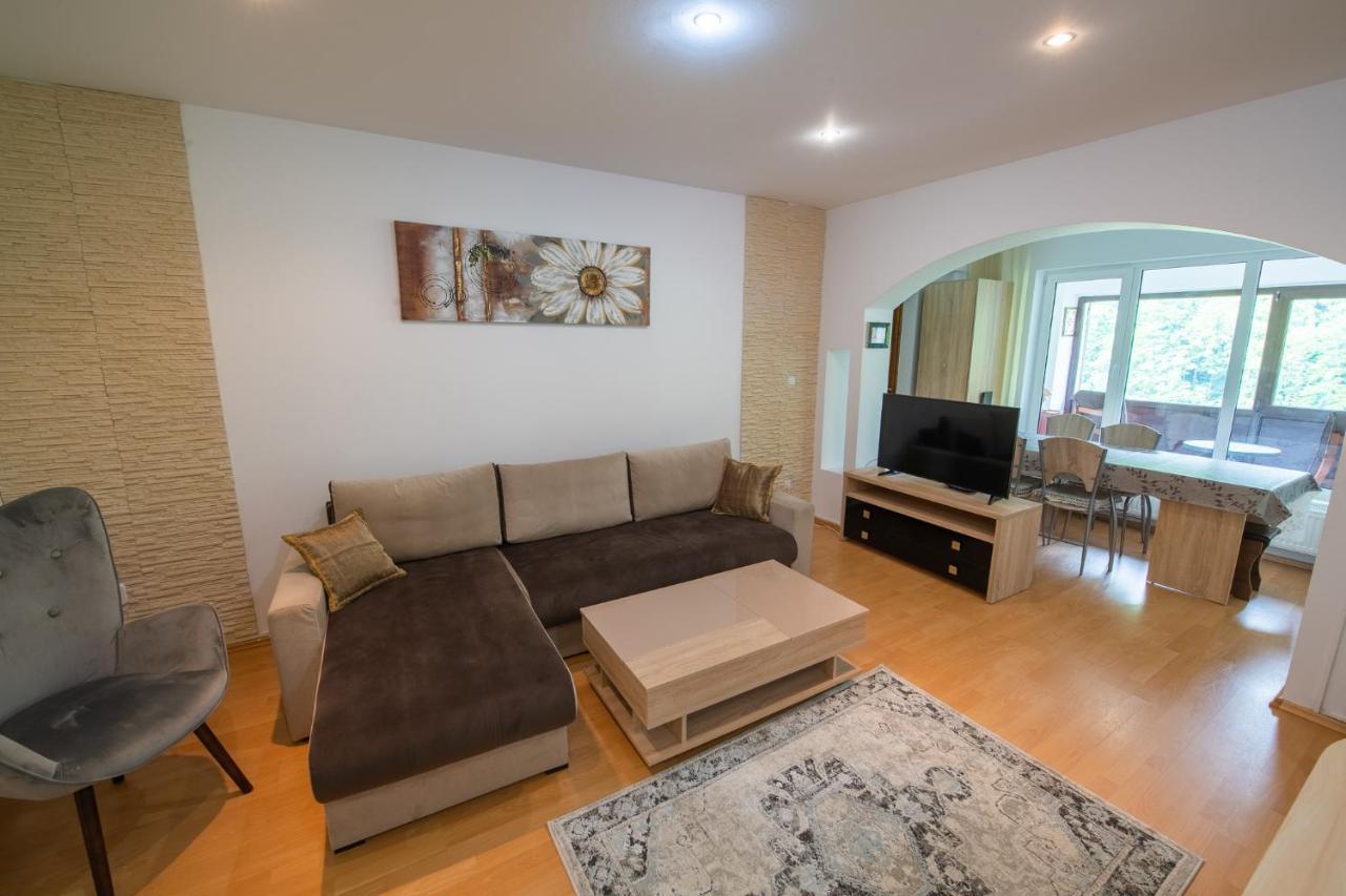 Monik Apartament Σινάια Εξωτερικό φωτογραφία