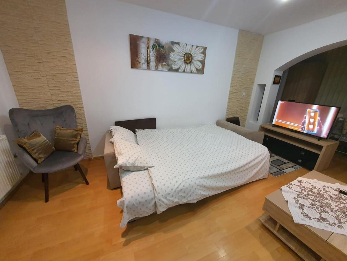 Monik Apartament Σινάια Εξωτερικό φωτογραφία