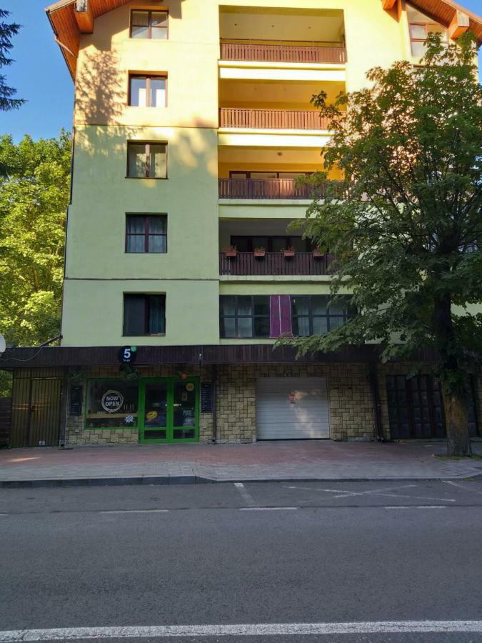 Monik Apartament Σινάια Εξωτερικό φωτογραφία